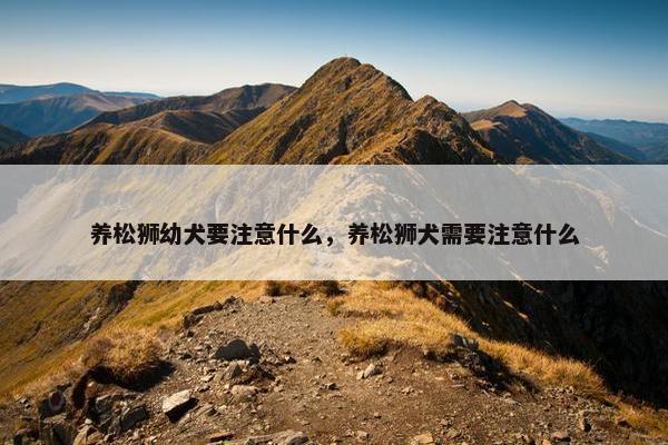 养松狮幼犬要注意什么，养松狮犬需要注意什么