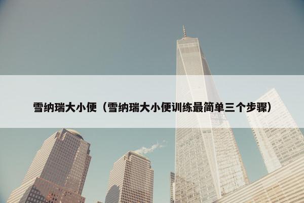 雪纳瑞大小便（雪纳瑞大小便训练最简单三个步骤）