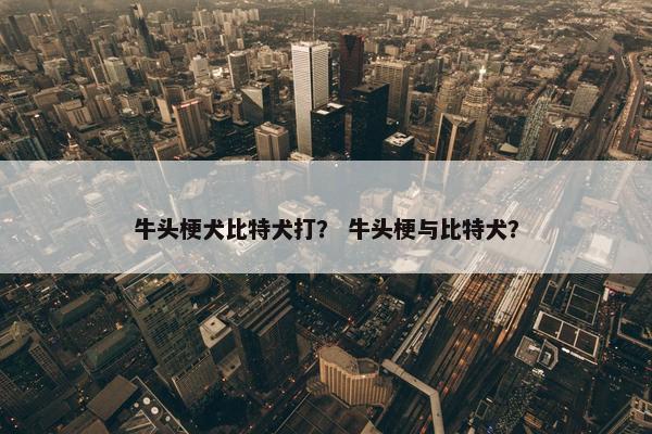 牛头梗犬比特犬打？ 牛头梗与比特犬？