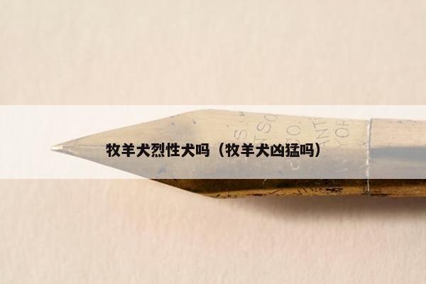 牧羊犬烈性犬吗（牧羊犬凶猛吗）