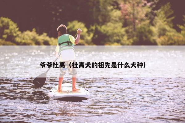 爷爷杜高（杜高犬的祖先是什么犬种）