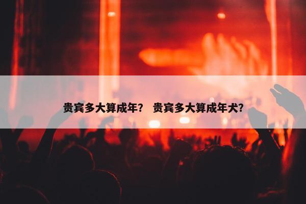 贵宾多大算成年？ 贵宾多大算成年犬？