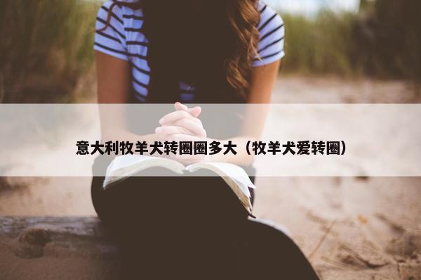 意大利牧羊犬转圈圈多大（牧羊犬爱转圈）