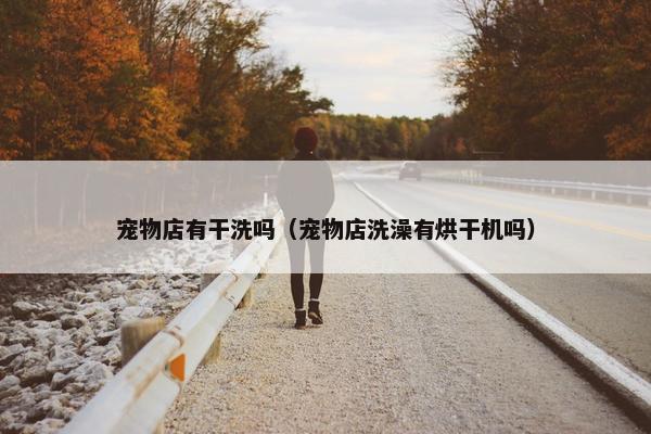 宠物店有干洗吗（宠物店洗澡有烘干机吗）