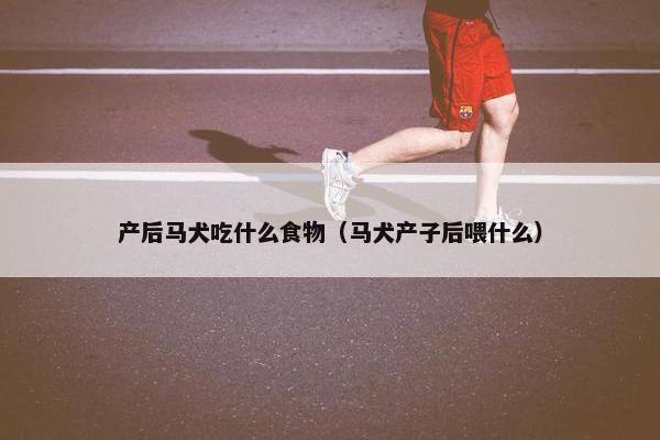 产后马犬吃什么食物（马犬产子后喂什么）