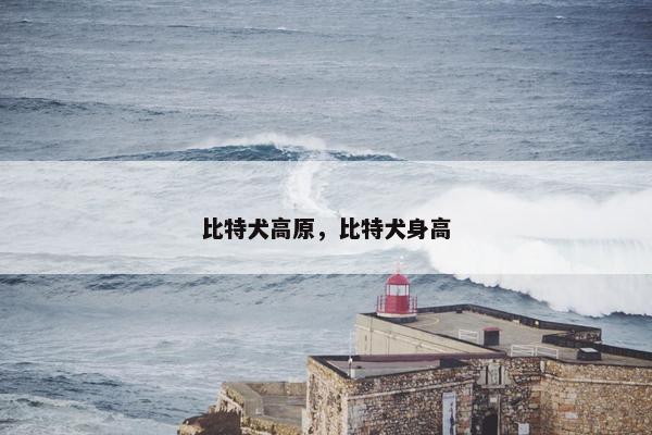 比特犬高原，比特犬身高