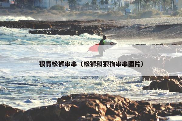 狼青松狮串串（松狮和狼狗串串图片）