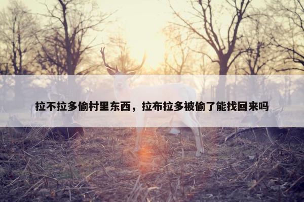 拉不拉多偷村里东西，拉布拉多被偷了能找回来吗