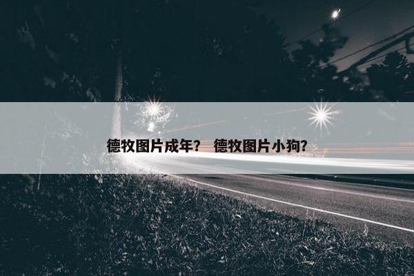 德牧图片成年？ 德牧图片小狗？