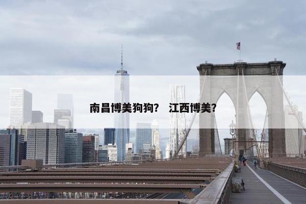 南昌博美狗狗？ 江西博美？