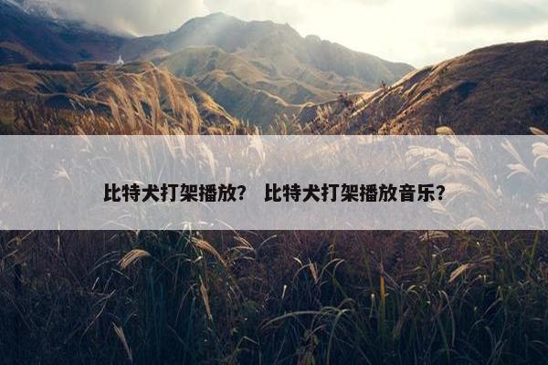 比特犬打架播放？ 比特犬打架播放音乐？