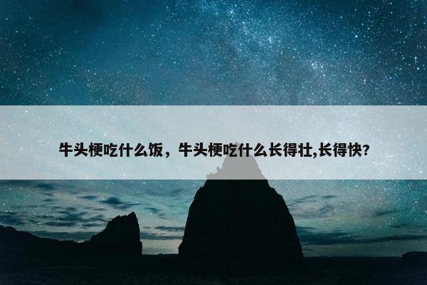 牛头梗吃什么饭，牛头梗吃什么长得壮,长得快?