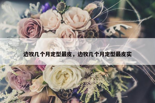 边牧几个月定型最皮，边牧几个月定型最皮实