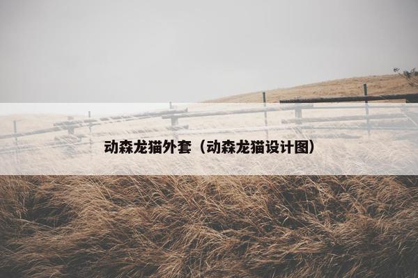 动森龙猫外套（动森龙猫设计图）