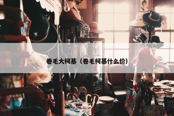 卷毛大柯基（卷毛柯基什么价）