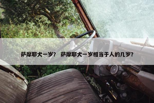 萨摩耶犬一岁？ 萨摩耶犬一岁相当于人的几岁？