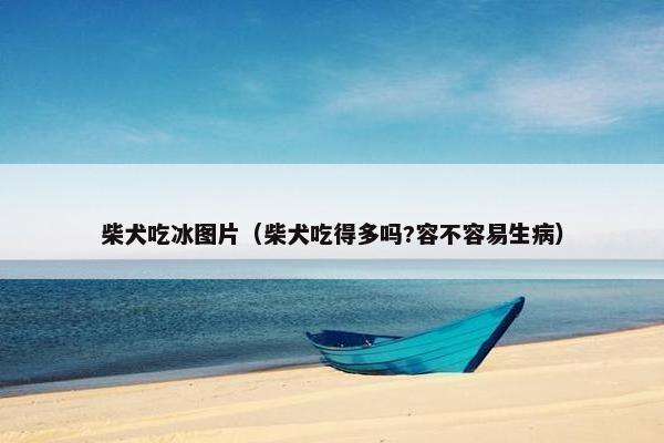 柴犬吃冰图片（柴犬吃得多吗?容不容易生病）