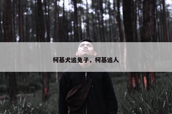 柯基犬追兔子，柯基追人