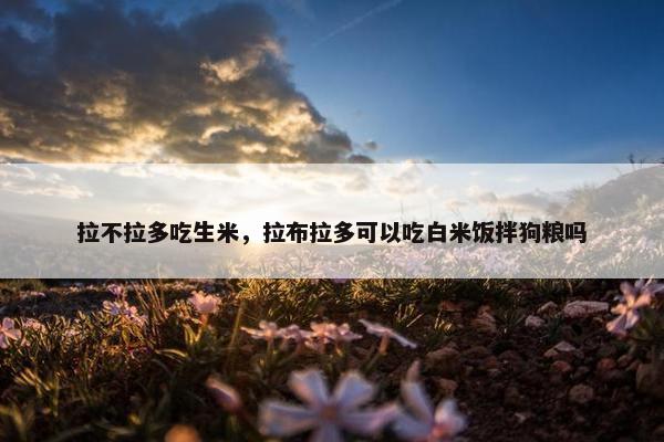 拉不拉多吃生米，拉布拉多可以吃白米饭拌狗粮吗