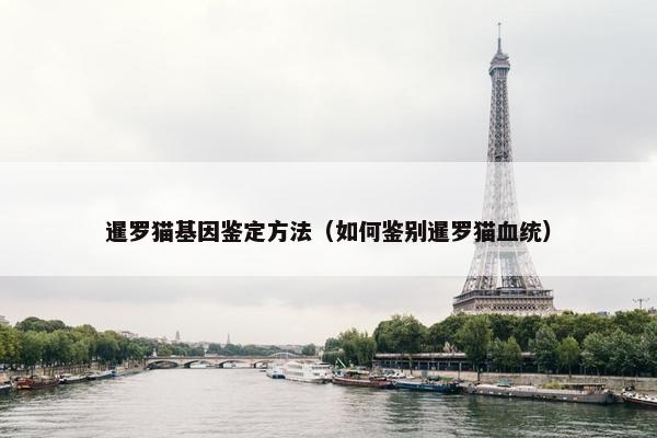 暹罗猫基因鉴定方法（如何鉴别暹罗猫血统）