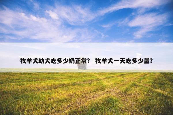 牧羊犬幼犬吃多少奶正常？ 牧羊犬一天吃多少量？