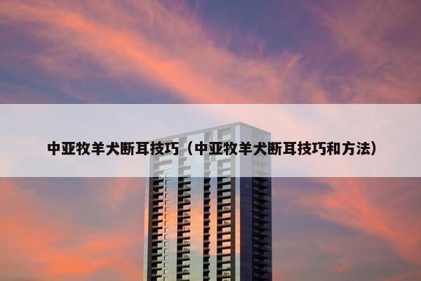 中亚牧羊犬断耳技巧（中亚牧羊犬断耳技巧和方法）