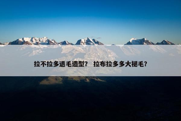 拉不拉多退毛造型？ 拉布拉多多大褪毛？