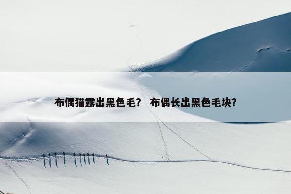布偶猫露出黑色毛？ 布偶长出黑色毛块？