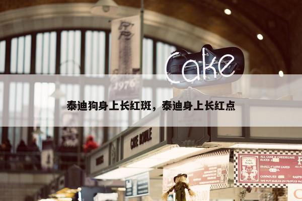 泰迪狗身上长红斑，泰迪身上长红点