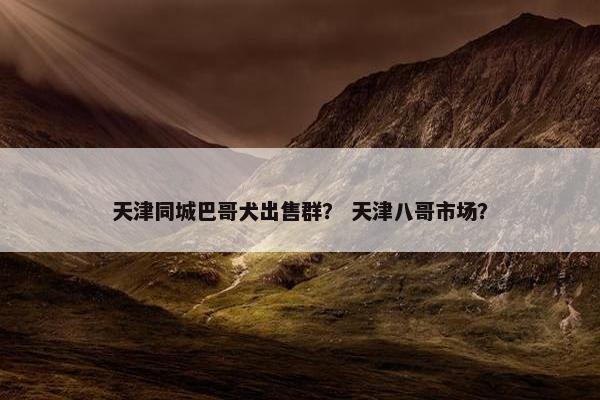 天津同城巴哥犬出售群？ 天津八哥市场？