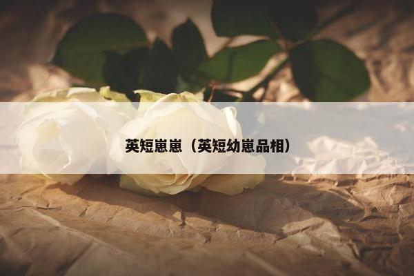 英短崽崽（英短幼崽品相）