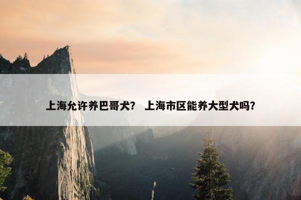 上海允许养巴哥犬？ 上海市区能养大型犬吗？