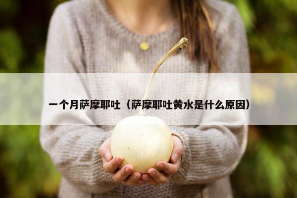 一个月萨摩耶吐（萨摩耶吐黄水是什么原因）