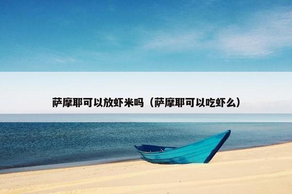 萨摩耶可以放虾米吗（萨摩耶可以吃虾么）