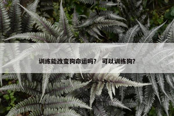 训练能改变狗命运吗？ 可以训练狗？