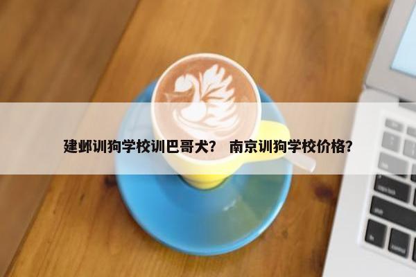 建邺训狗学校训巴哥犬？ 南京训狗学校价格？