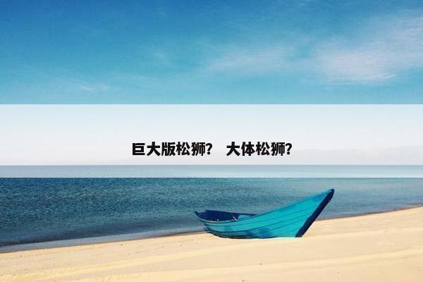 巨大版松狮？ 大体松狮？