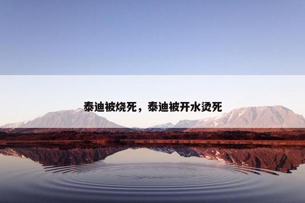 泰迪被烧死，泰迪被开水烫死