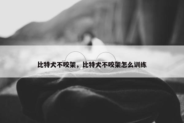 比特犬不咬架，比特犬不咬架怎么训练