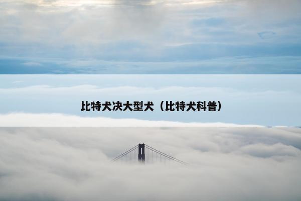 比特犬决大型犬（比特犬科普）