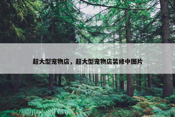 超大型宠物店，超大型宠物店装修中图片