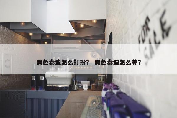 黑色泰迪怎么打扮？ 黑色泰迪怎么养？