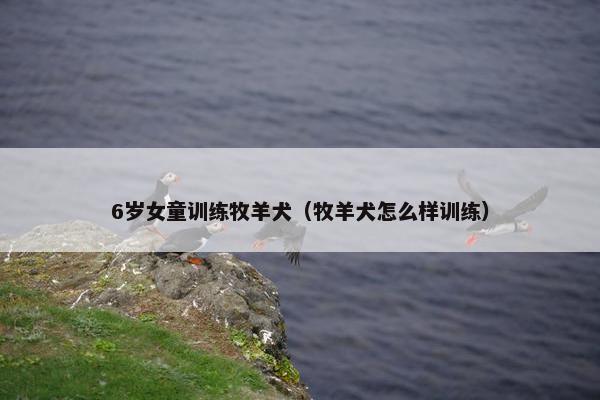 6岁女童训练牧羊犬（牧羊犬怎么样训练）