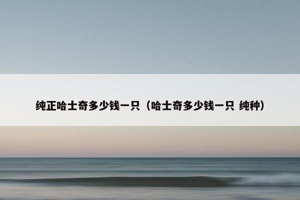 纯正哈士奇多少钱一只（哈士奇多少钱一只 纯种）