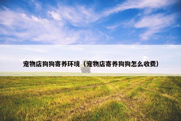 宠物店狗狗寄养环境（宠物店寄养狗狗怎么收费）