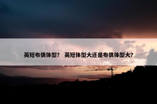 英短布偶体型？ 英短体型大还是布偶体型大？