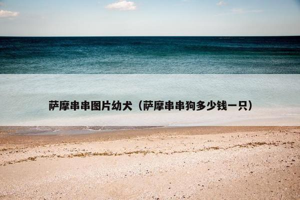 萨摩串串图片幼犬（萨摩串串狗多少钱一只）