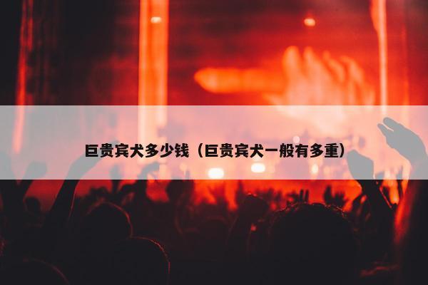巨贵宾犬多少钱（巨贵宾犬一般有多重）