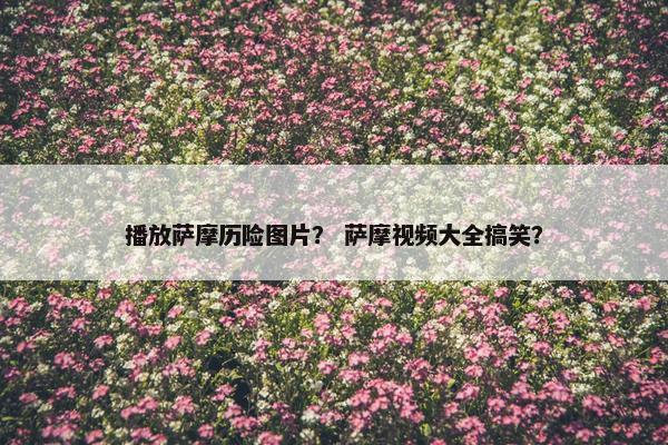 播放萨摩历险图片？ 萨摩视频大全搞笑？
