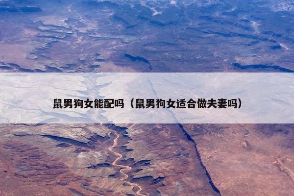 鼠男狗女能配吗（鼠男狗女适合做夫妻吗）